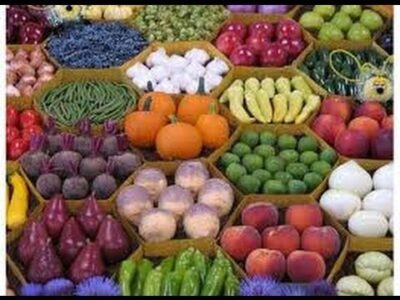 The Moral Imperatives of Community Food: A 21st-Century Civic Duty Image